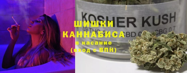 PSILOCYBIN Козловка