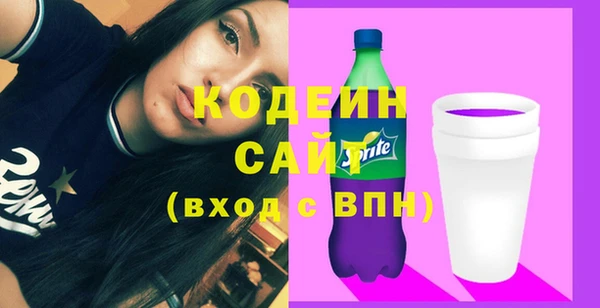 спайс Корсаков