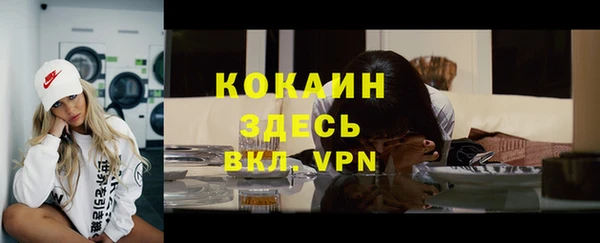 спайс Корсаков