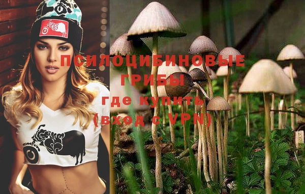 PSILOCYBIN Козловка