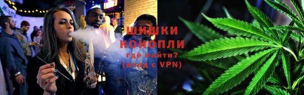 PSILOCYBIN Козловка