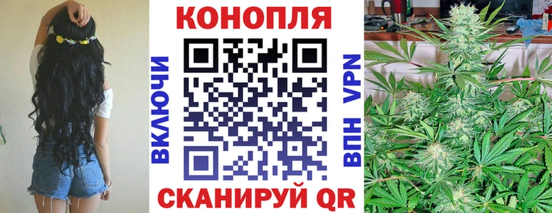 Бошки Шишки Bruce Banner Терек
