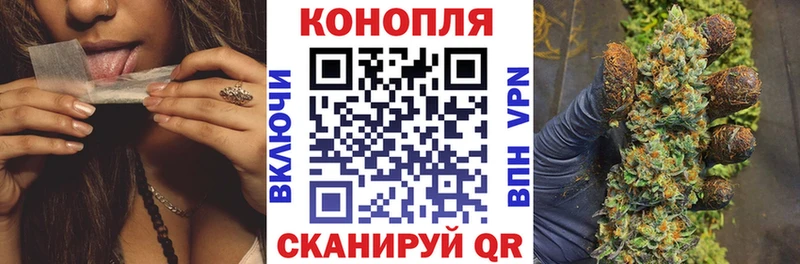 Купить  Терек  Конопля OG Kush 